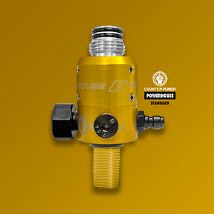 RÉGULATEUR DE PRESSION de carburant Racetronix, EFI -10 / -6 AN E85 RÉGULATEUR DE PRESSION de carburant Racetronix, EFI -10 / -6 AN E85
