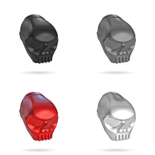 Infamous 170R Skull Back Cap